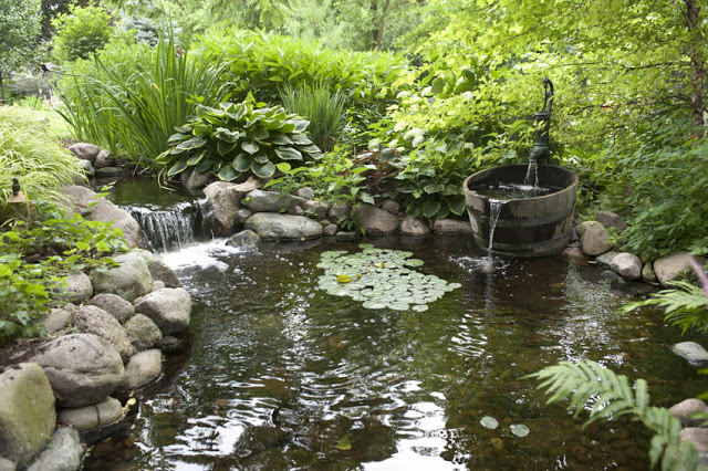 Why Should No Garden Pond Go Without A Pump Right Time To Buy