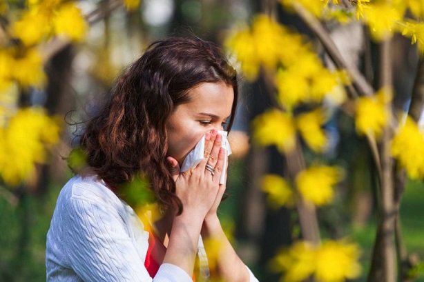 pollen-allergy