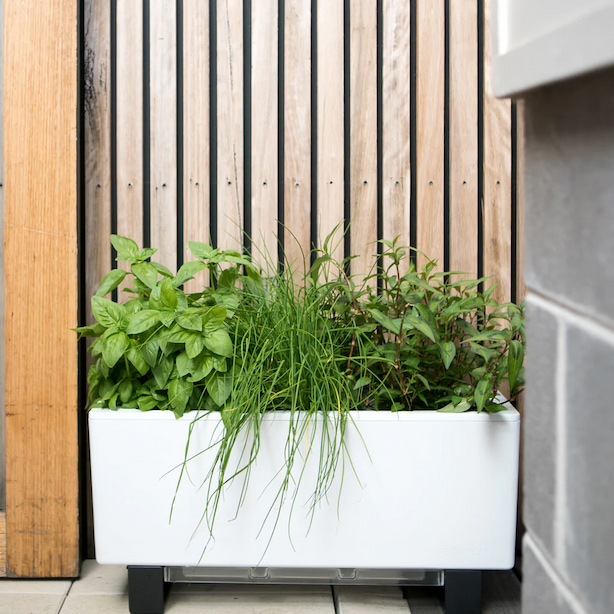 mini-bench-planter
